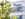 ​​​​​​​Biogen Alzheimer’s Drug Approved In Disease Landmark 