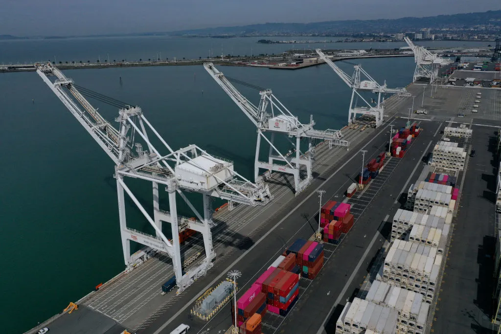 Cranes are affected by the coronavirus, too.