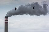 Greenpeace Say South Africa No. 2 Sulfur Dioxide Hotspot