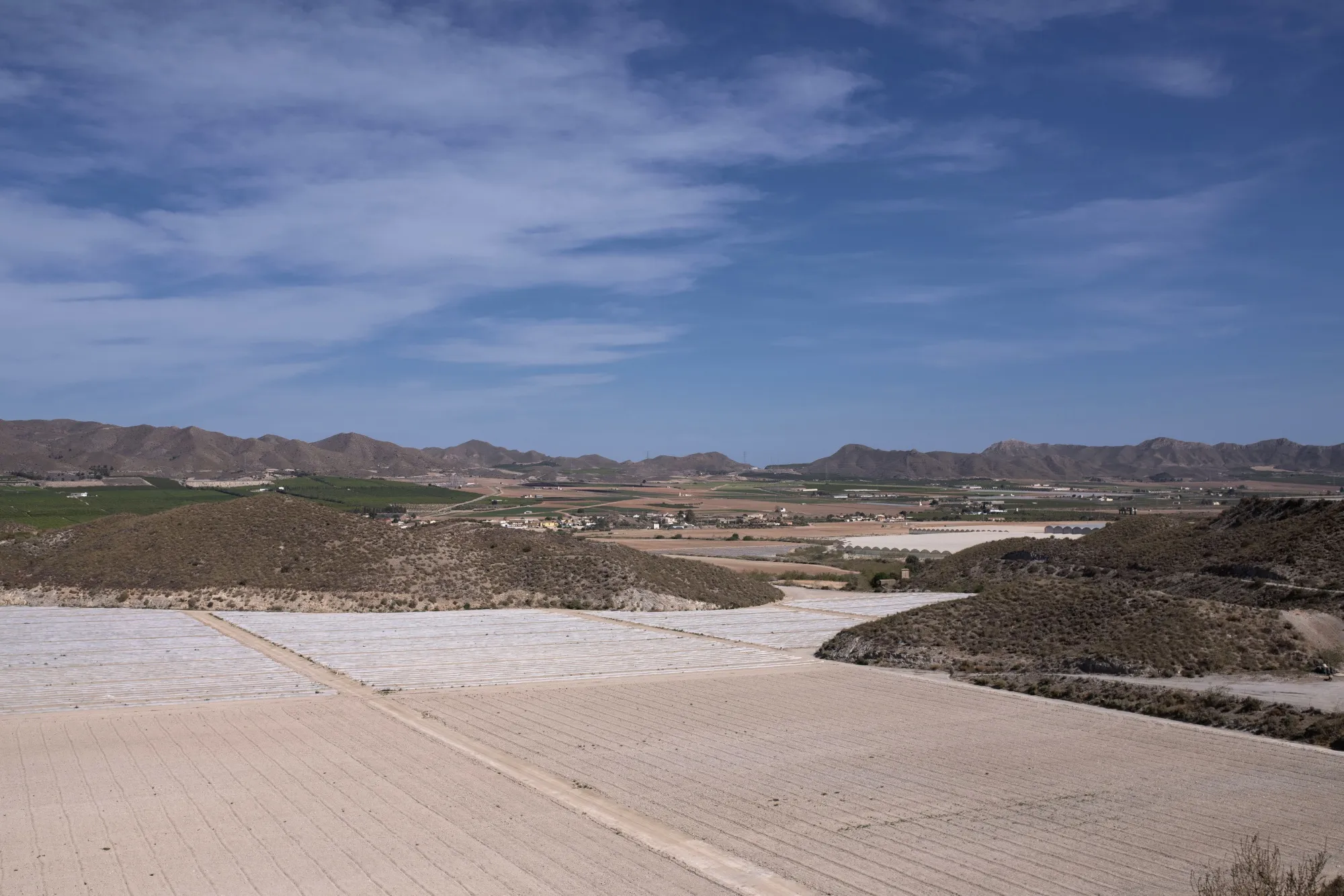 The lack of water this year has forced farmers in the southern Spanish village of Pulpí to make tough choices and leave large fields unplanted.