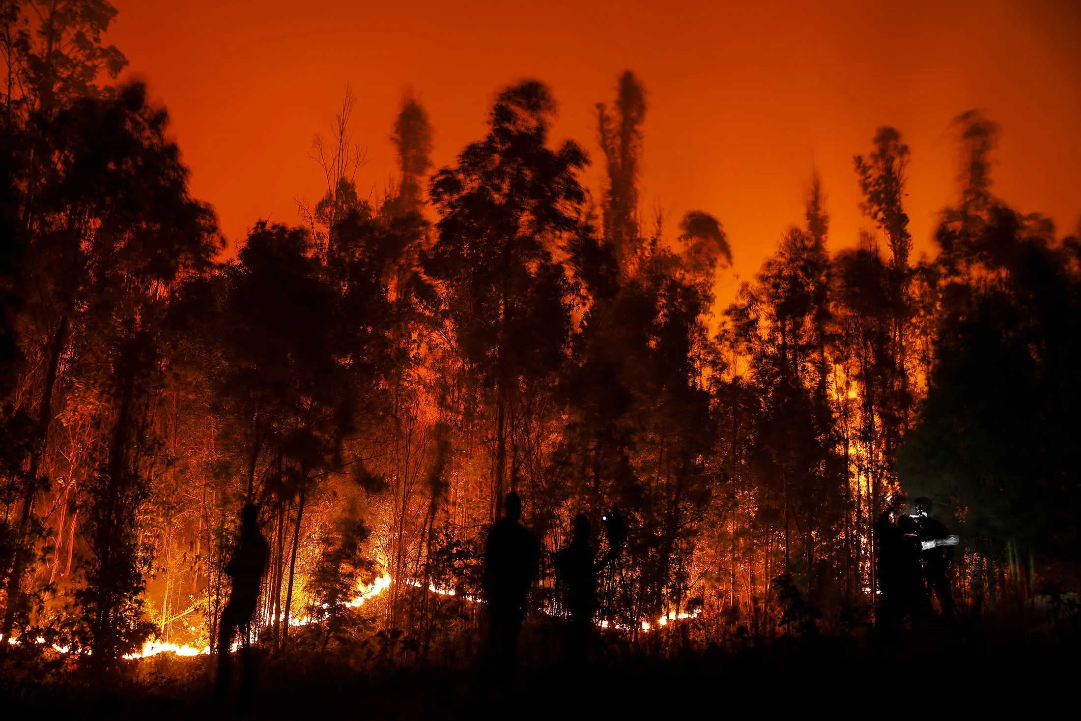 A wildfire burns in Puren, Araucania region, Chile, on Feb.&nbsp;4.