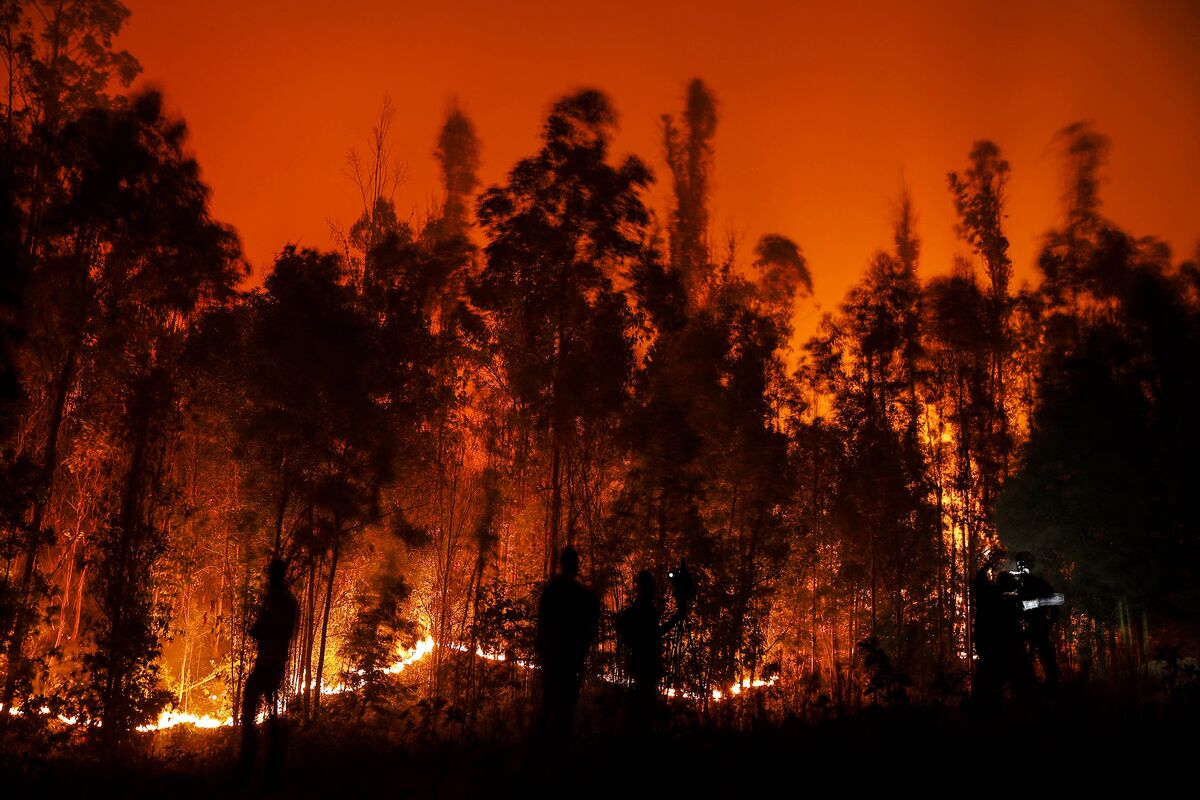Chile Wildfires: 10 Arrested for Setting Blazes as Death Toll Rises -  Bloomberg