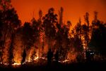 A wildfire burns in Puren, Araucania region, Chile, on Feb.&nbsp;4.