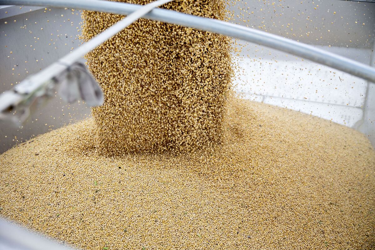 China Buys More U.S. Soybeans as Agriculture-Trade Woes Ease - Bloomberg