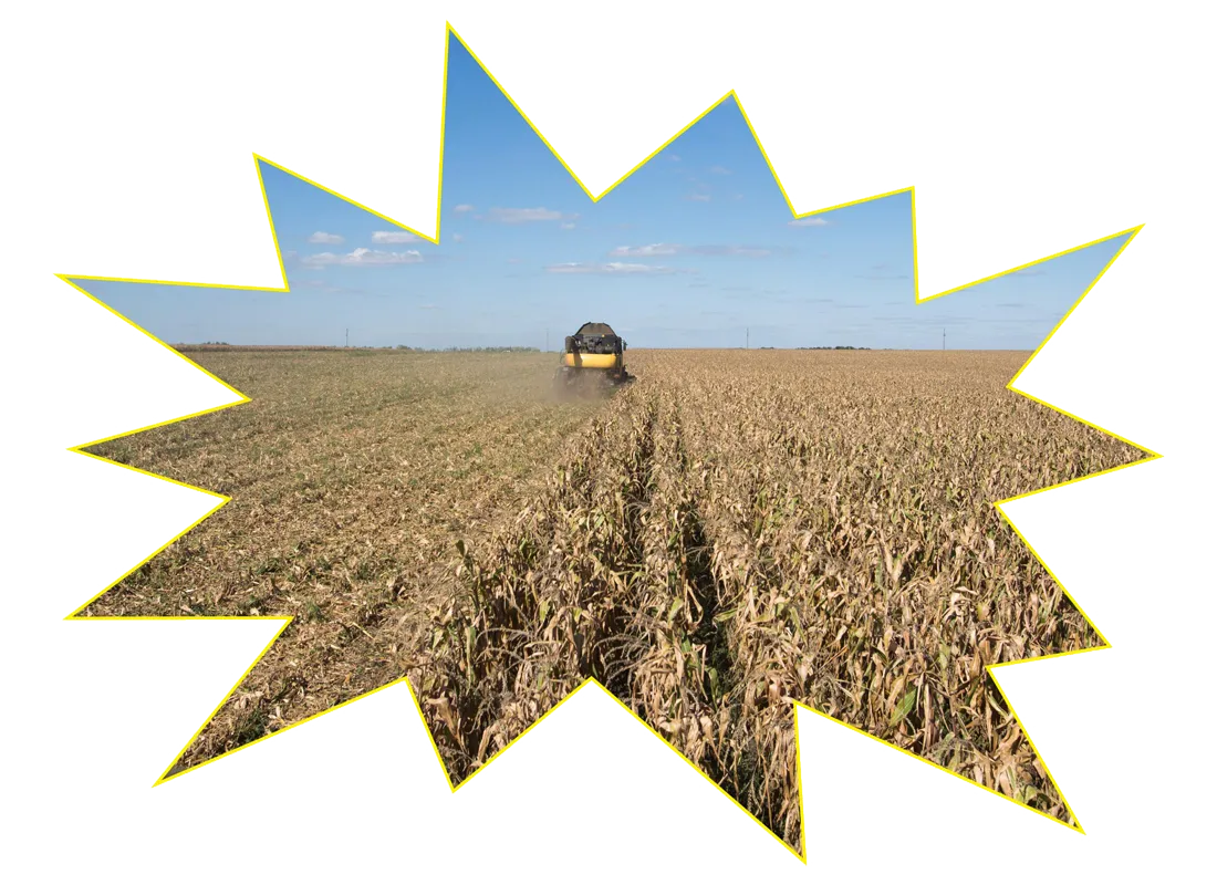 Close to the war zone, a farming giant emerges.
