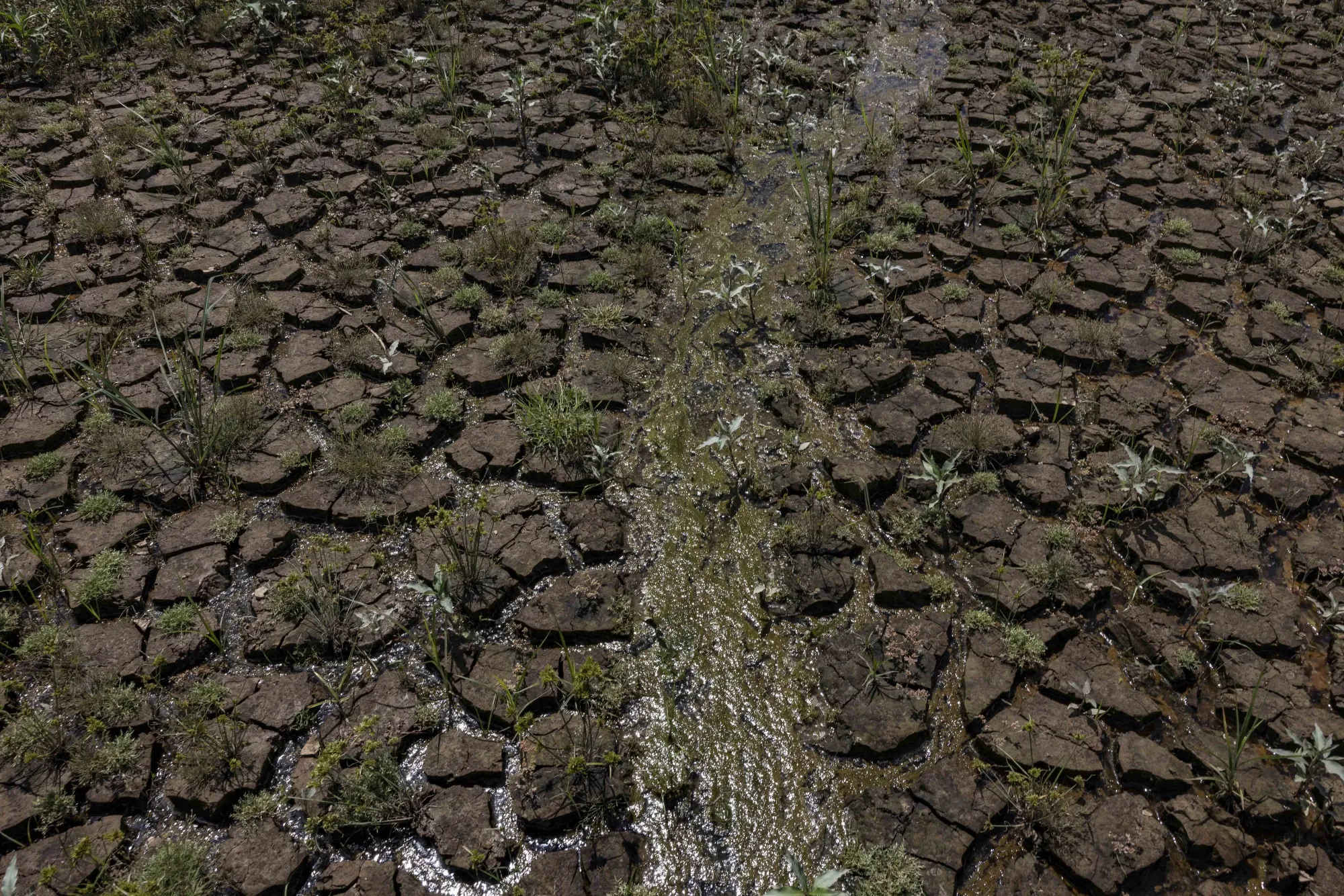 Dry land cracks along the Jacareí River Dam, part of the Cantareira reservoir system, in Joanopolis, Sao Paulo state.