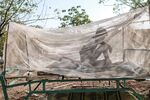 A civilian fleeing violence sits in a bed covered with a mosquito net in the city of Semera, Ethiopia, on Feb. 17. 