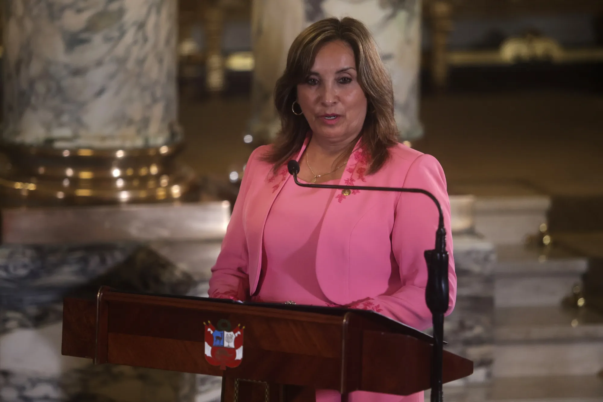 Peruvian President Dina Boluarte