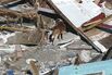 Using Drones to Rescue Wildlife From Climate Disasters