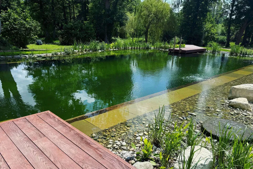 A greener backyard swimming pool option.