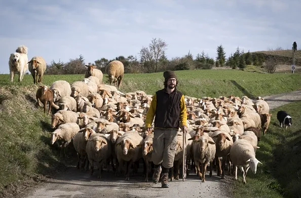 There’s a herd mentality in much of the economic data.