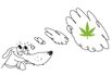 Drug-Sniffing Dogs Pose a Problem in States That Legalized Marijuana