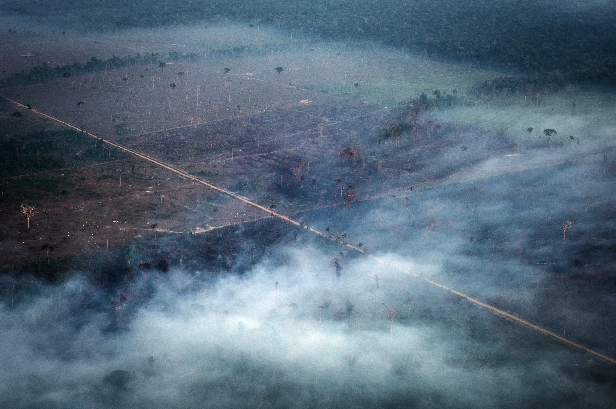 Fire burns in the Amazon rainforest&nbsp;near the Candeias do Jamari region of Porto Velho, Rondonia state, Brazil.&nbsp;