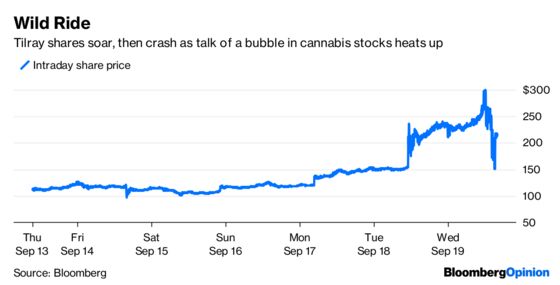 Pot Stocks Bring Out the Worst in Investors