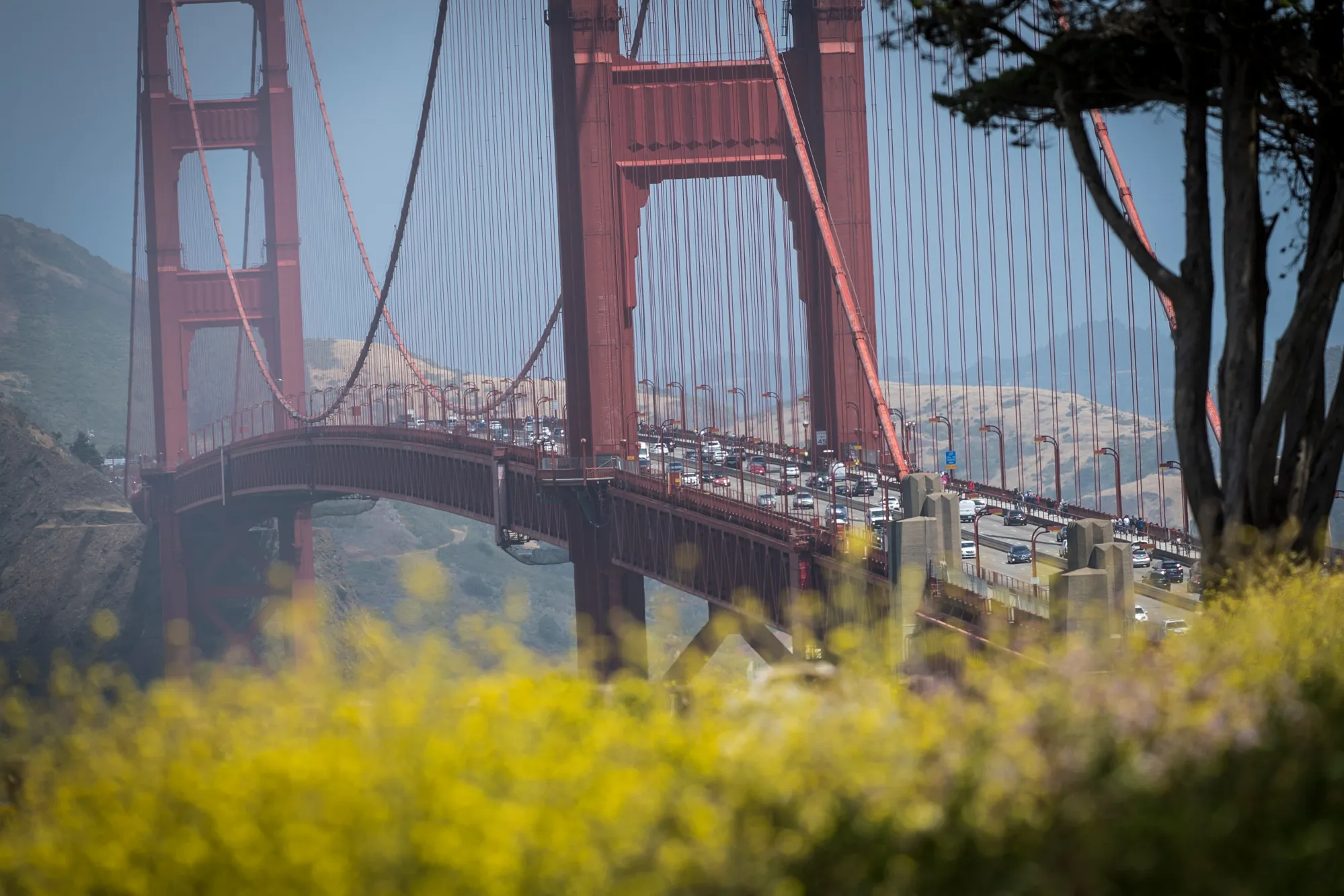 Emissions Testing And Traffic As NHST Proposes Freezing Fuel Efficiency Requirements 