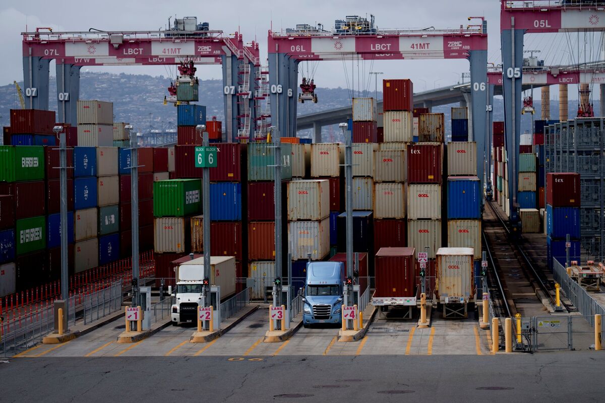 OECD Warns U.S. Tariffs Slowing Global Growth, Raising Inflation