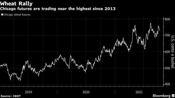 Top Wheat Importer Egypt Balks at Buying Again on High Price