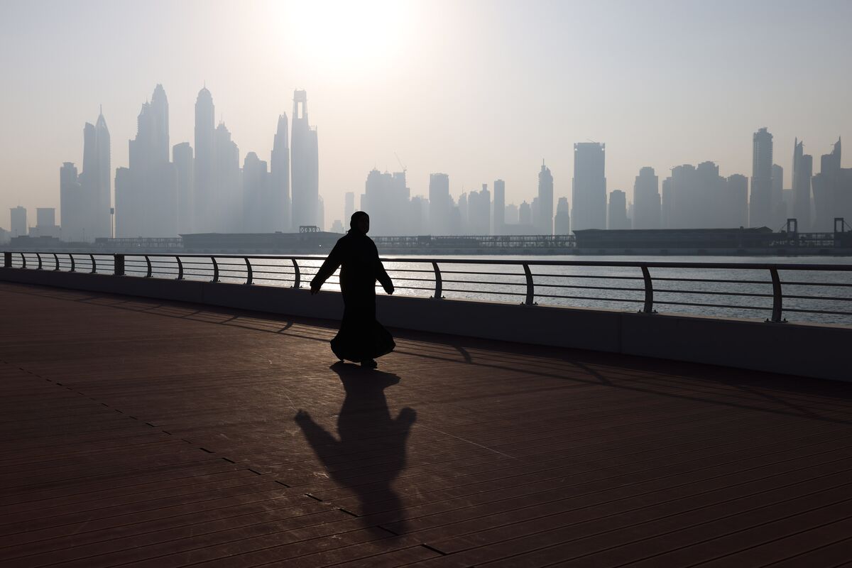 🟪"Rimozione degli Emirati Arabi Uniti dalla lista UE: un passo verso la trasparenza economica"