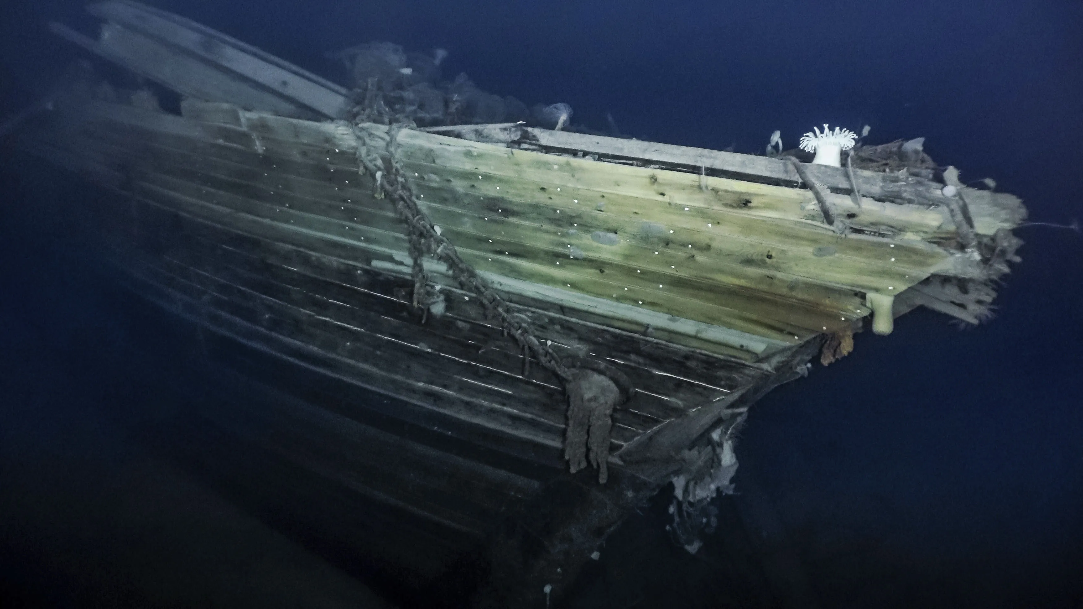 The bow of the Endurance, polar explorer&nbsp;Ernest Shackleton’s wrecked ship.&nbsp;
