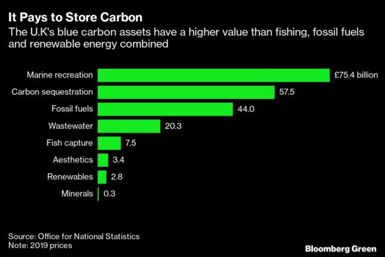 U.K. Says Its Seabed Is More Valuable for Environment Than Oil