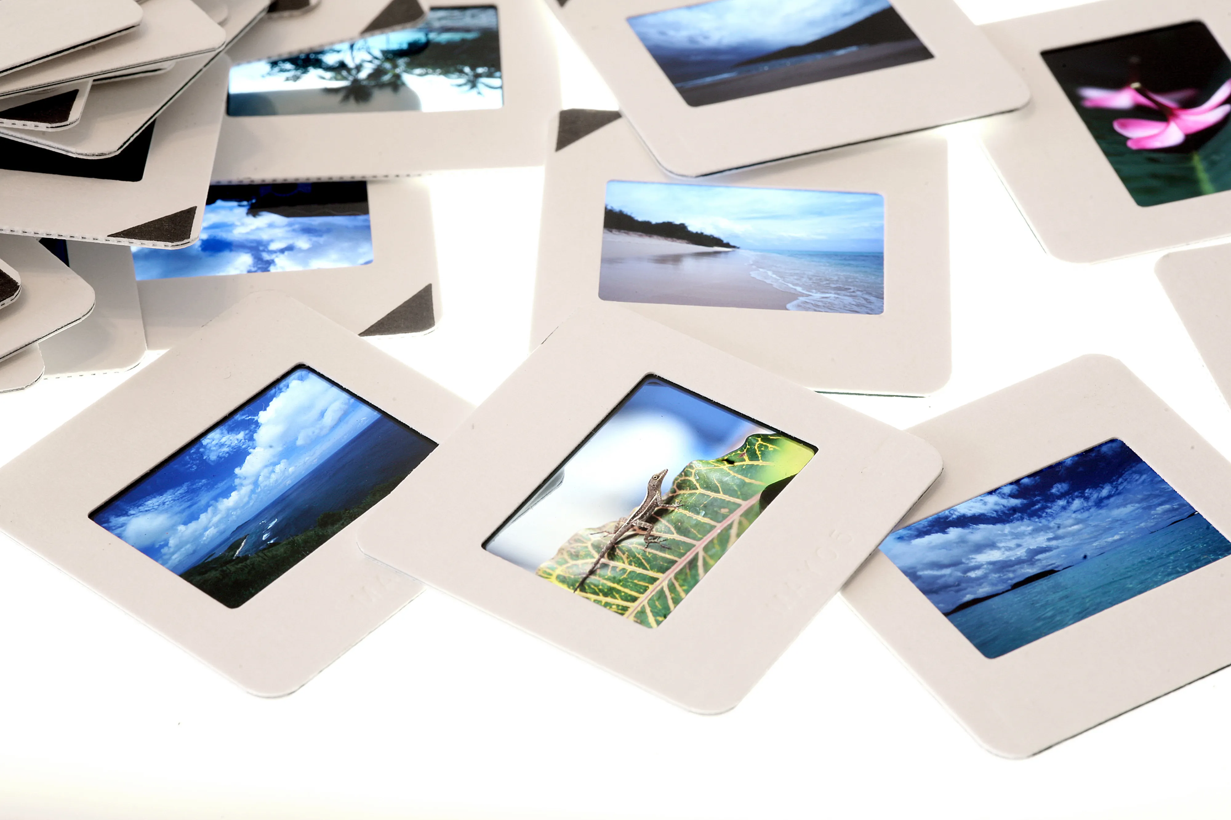 Photos on a lightbox.