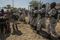 Caravan of 3,000 Migrants Heading to U.S.