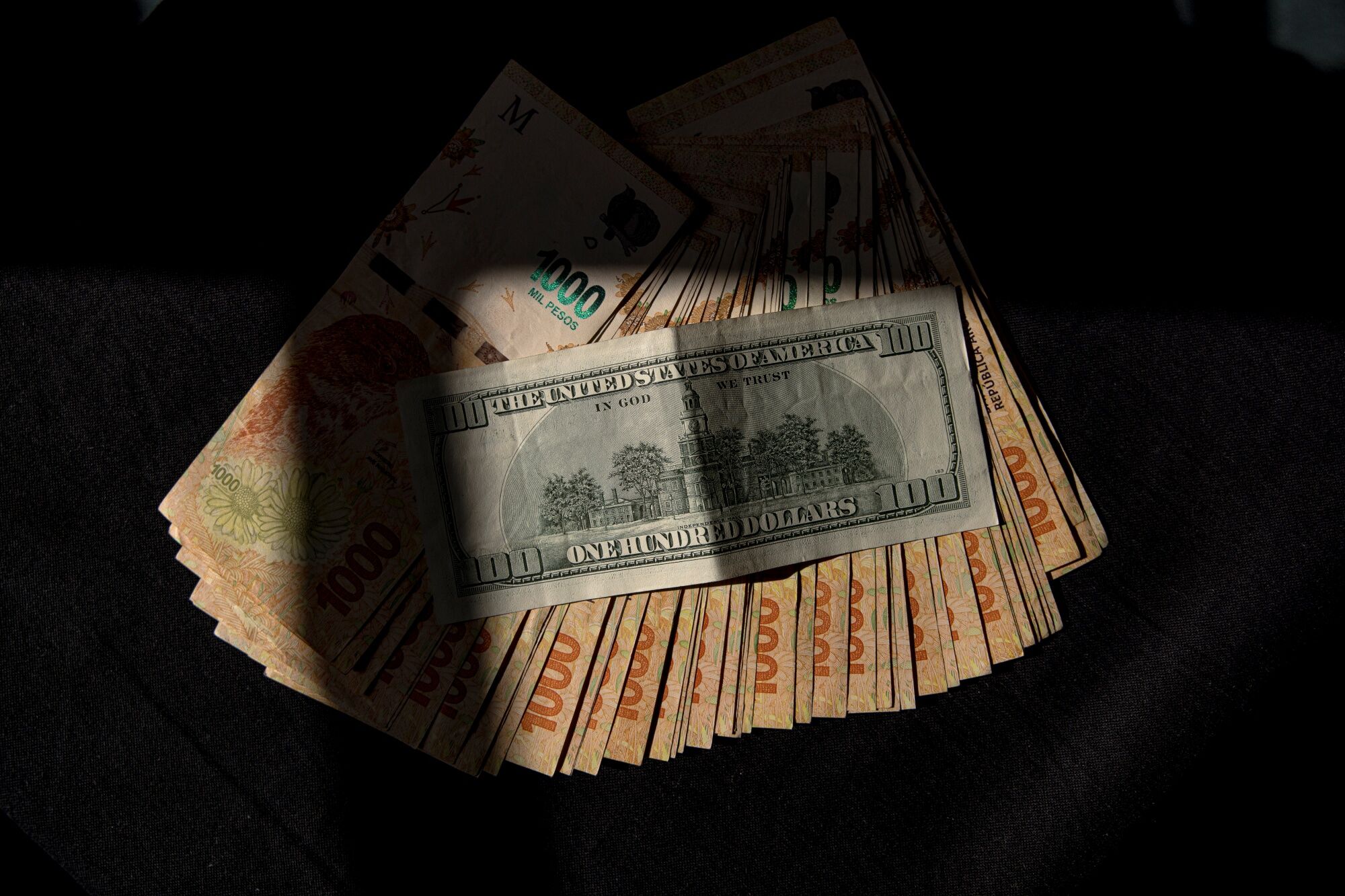 Argentina Can Dollarize in 2024 Without Limiting Growth, Says Nicolás  Cachanosky