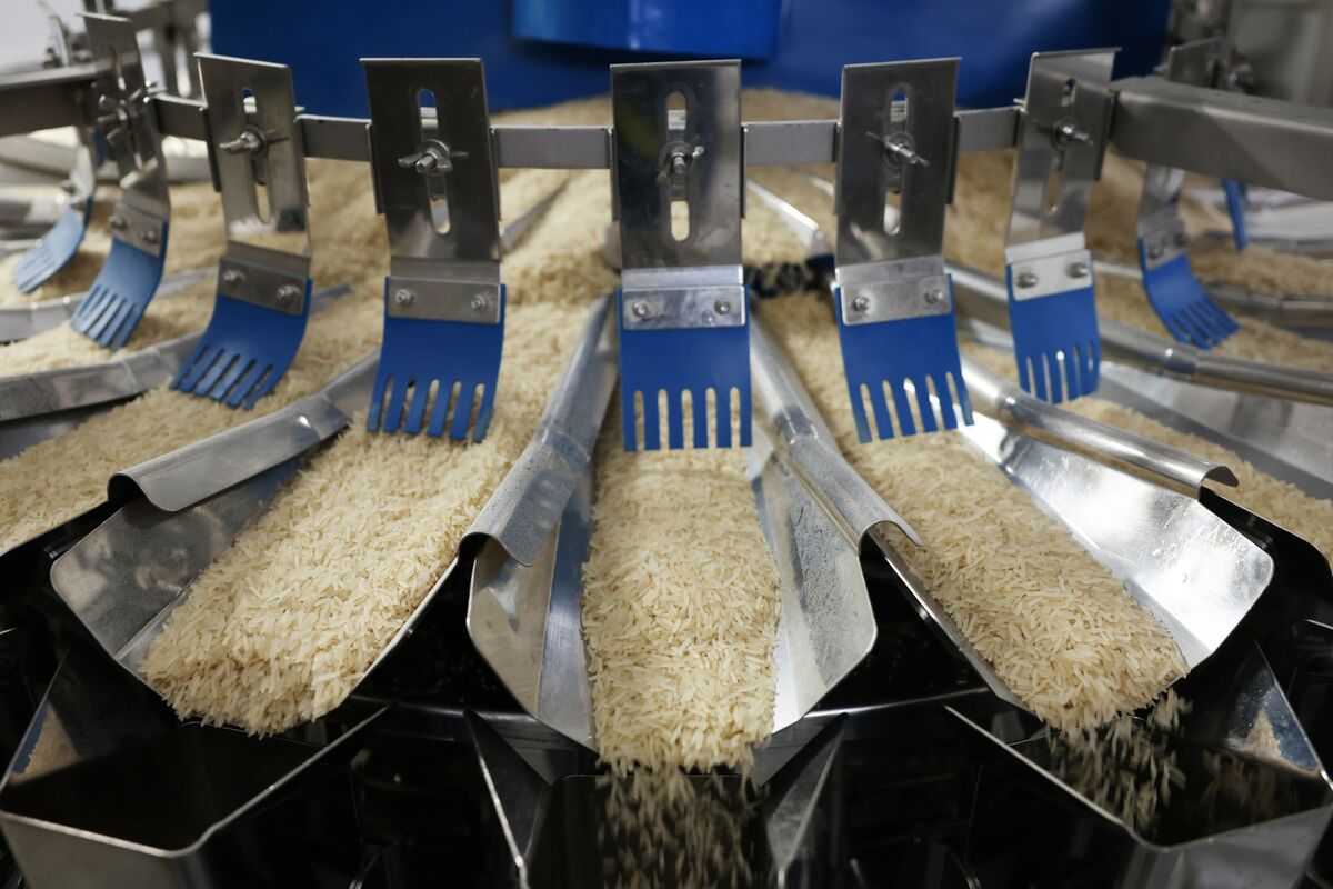 UK-India Free Trade Deal Poses Risk for British Rice Millers Tilda and ...