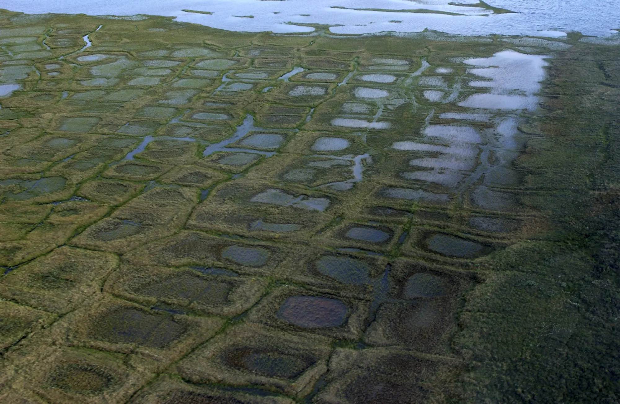The National Petroleum Reserve-Alaska.