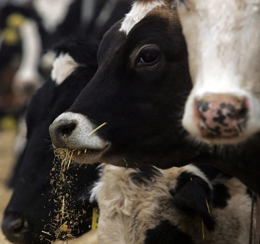 Methane-makers.
