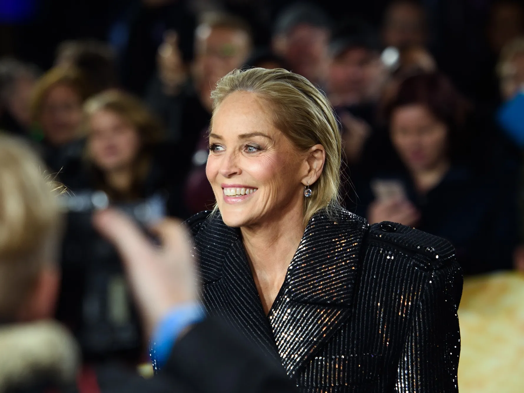 sharon stones fakes 