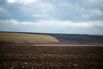 Planting of 2023 Ukrainian Wheat Crop Amid Worries Over Export Corridor