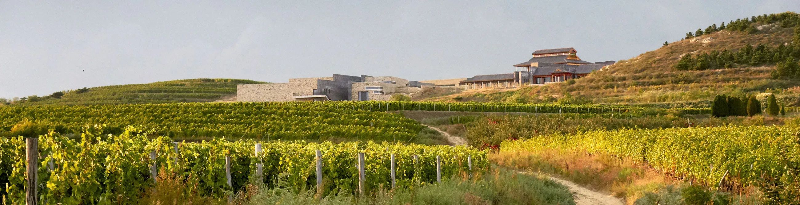 Wine Review: Long Dai, Château Lafite Rothschild's Chinese