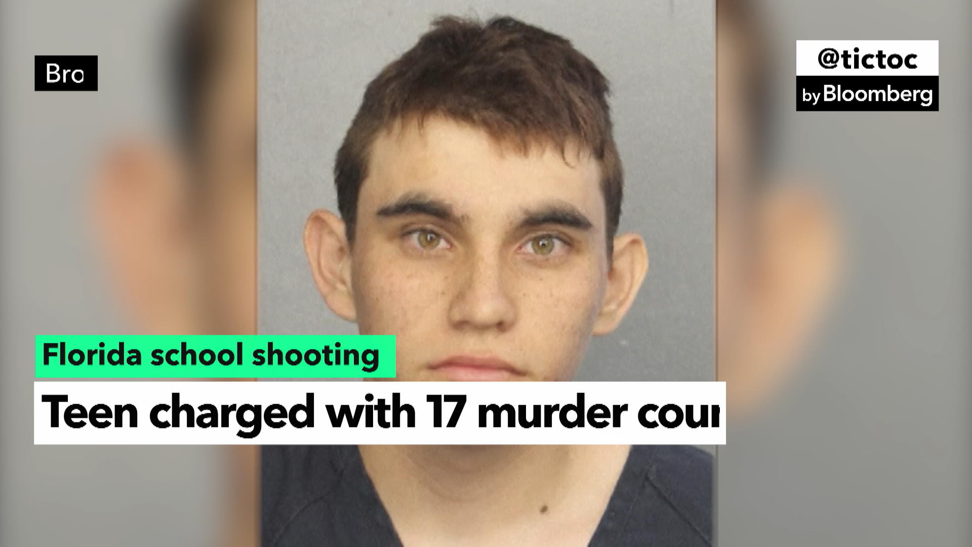 Watch Florida Teen Charged With 17 Murders After School Shooting ...