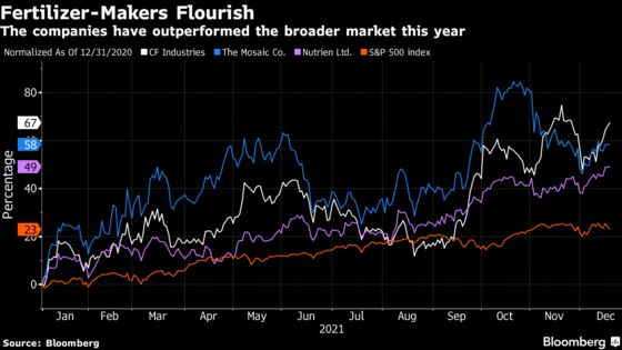 Fertilizer Stocks Head for Best Year Since 2009 As Prices Soar