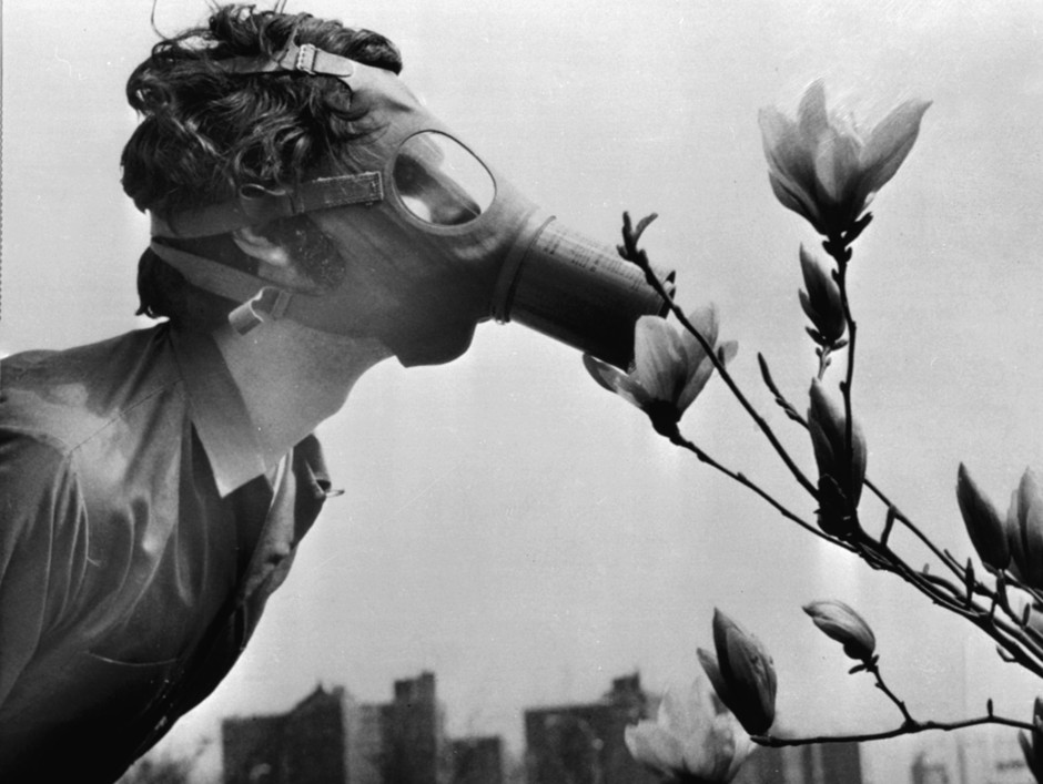 A Pace College student in a gas mask &quot;smells&quot; a magnolia blossom in City Hall Park on Earth Day, April 22, 1970, in New York.