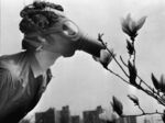 A Pace College student in a gas mask "smells" a magnolia blossom in City Hall Park on Earth Day, April 22, 1970, in New York.