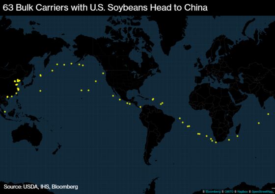 As Trade War Drags, China Scoops Up South American Soy for 2020
