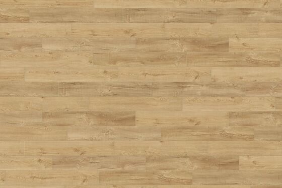 If Hardwood Floor Prices Have You Down, Try a More Eco-Friendly Option