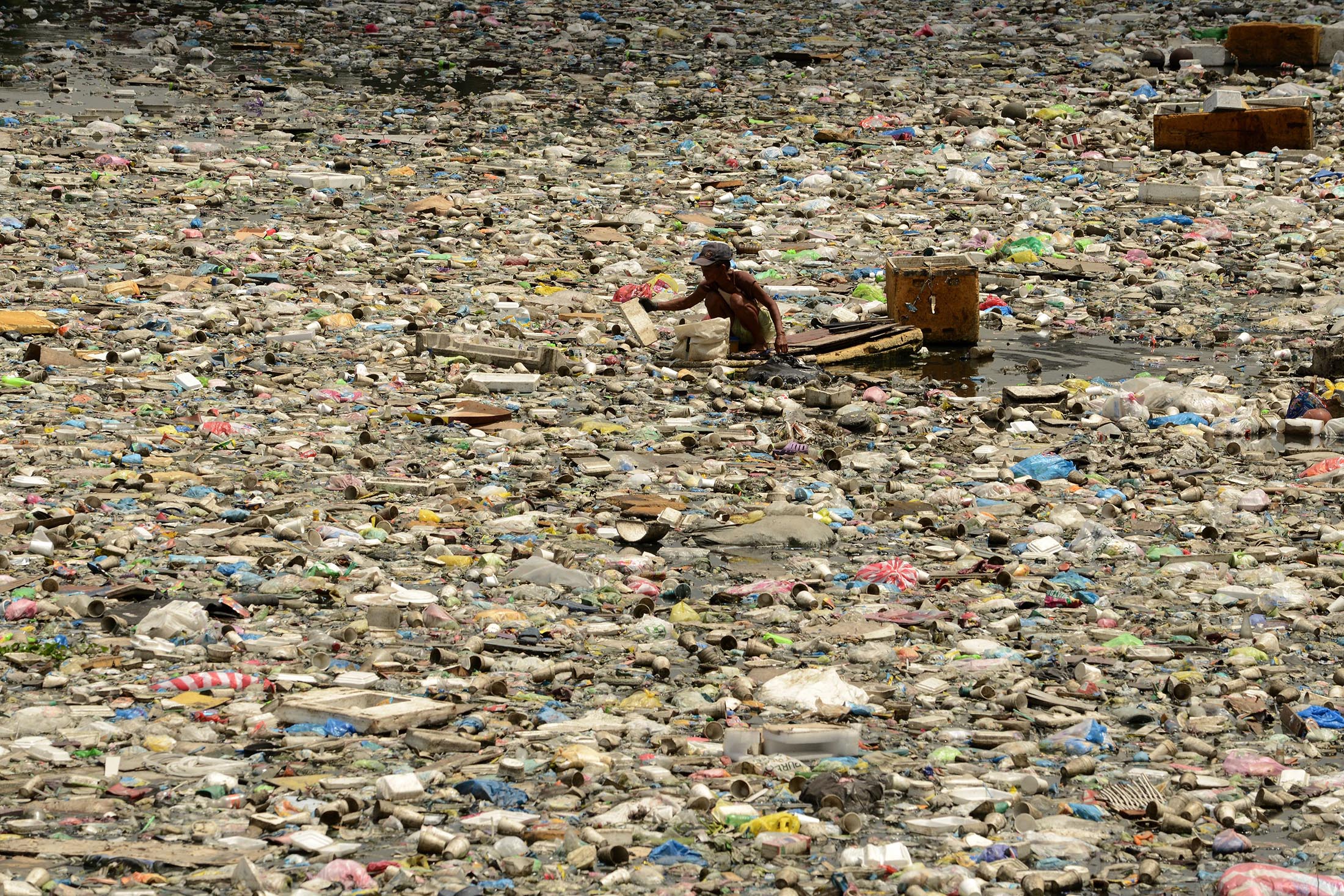 Plastic Pollutes, But Replacing It Is Even Worse  Says Study Funded 