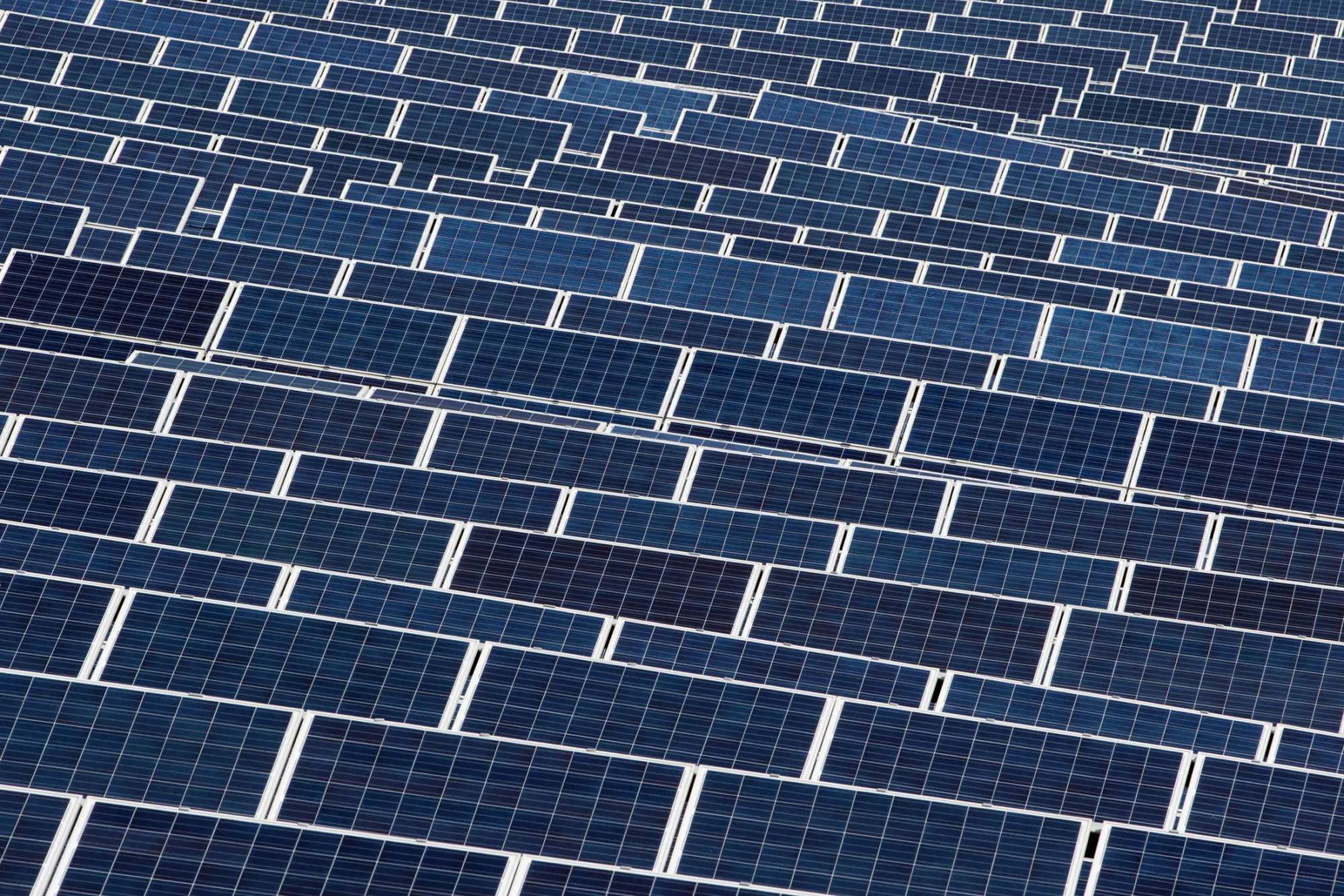 Solar panels stand in Goheung, South Korea.
