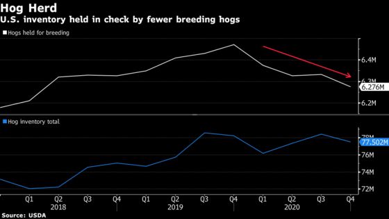 U.S. Farmers Are Breeding Fewest Hogs in Almost Three Years