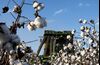 A John Deere 7760 cotton picker harvests cotton in East Carroll Parish, Louisiana.
