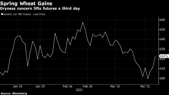 Pizza Dough Prices May Rise as Dryness Imperils U.S. Wheat