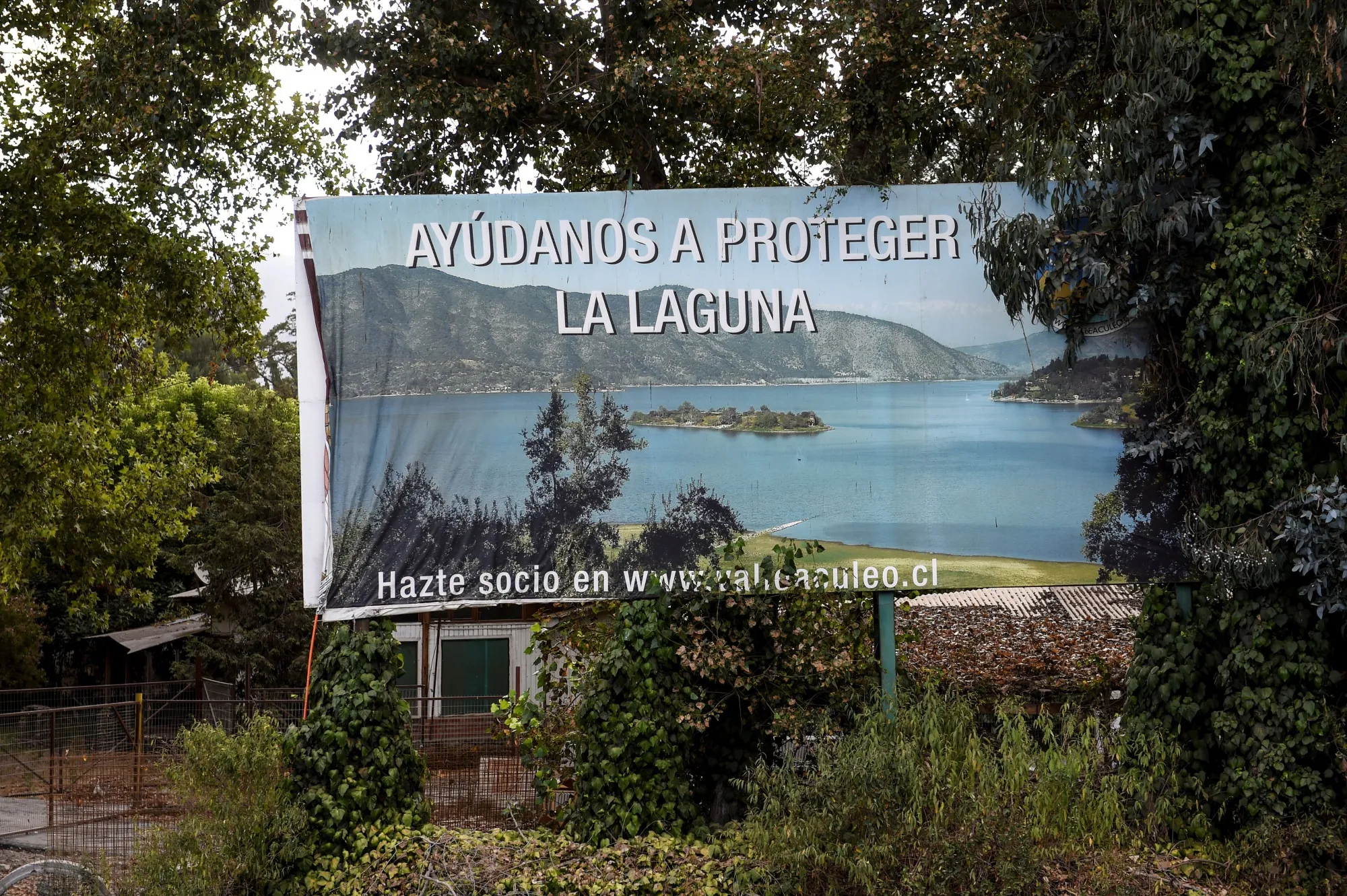 A banner reading “Help us protect the lagoon” is seen near the dried Laguna de Aculeo in Paine, about 43 miles southwest of Santiago, on Feb. 12.&nbsp;