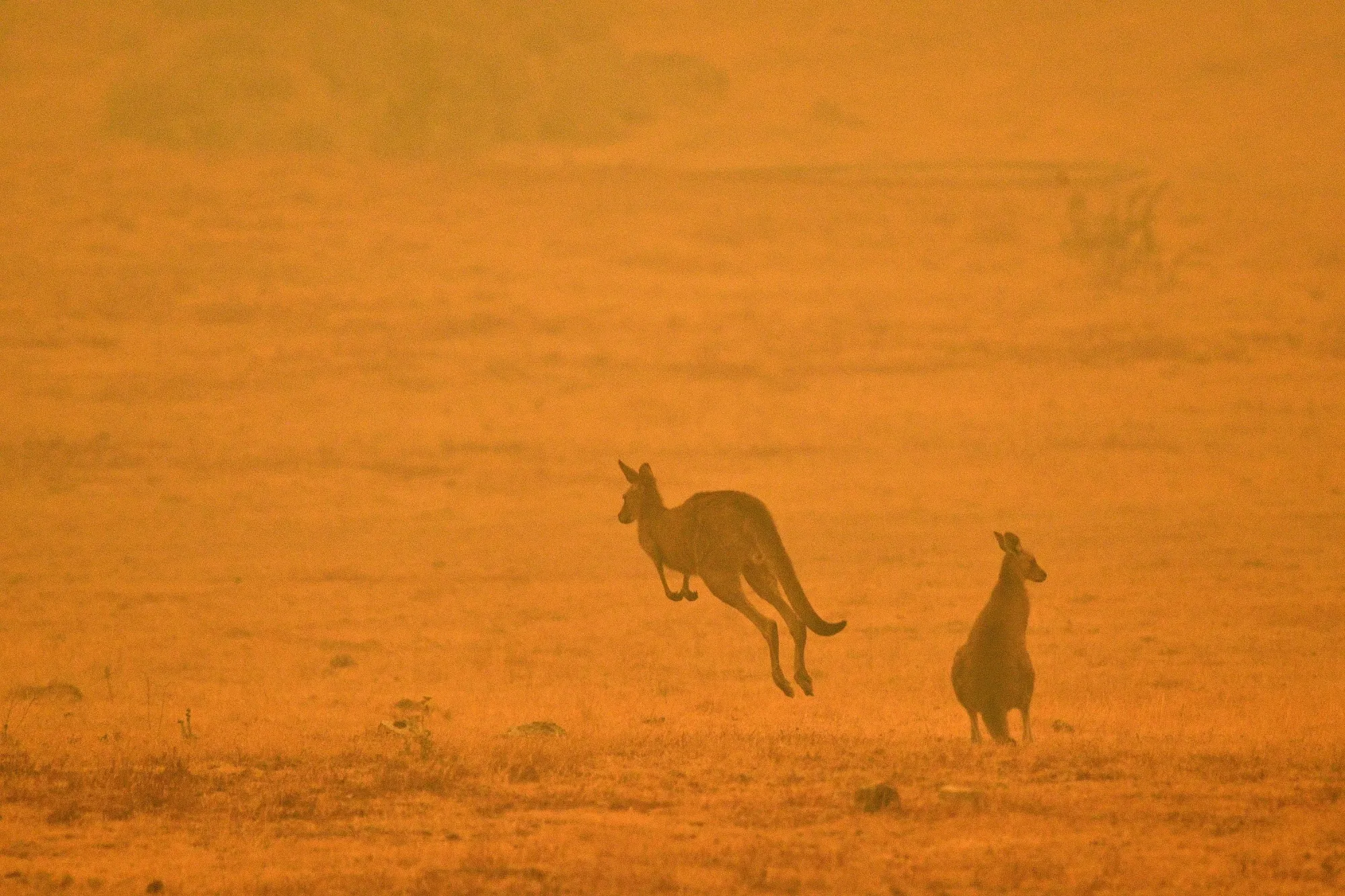 When the earth gets hotter, some places catch fire