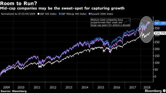 Mid-Cap Stocks Still Have Room to Run as ‘M&A Effect’ Kicks In