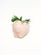 feat_berries32__01__B