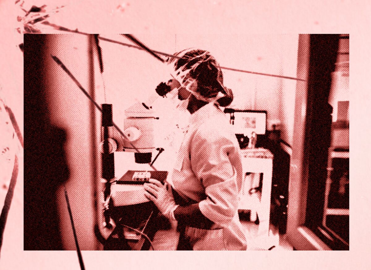 IVF Disrupted, The Kindbody Story: The Embryo Mixup