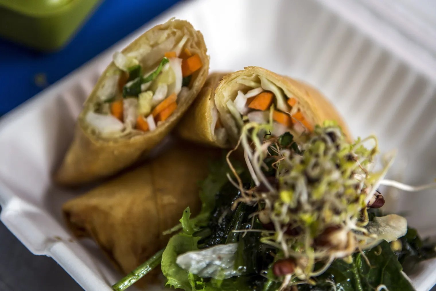 Vegetarian spring rolls with salad, served by a food truck in Mexico City.